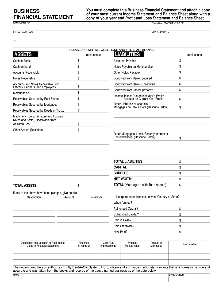 Business Financial Statement Template – online form with Income Statement and Balance Sheet fields